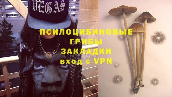 спиды Армянск