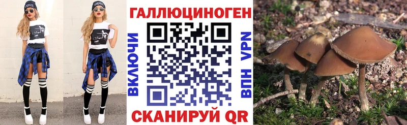 KRAKEN рабочий сайт  Семилуки  Псилоцибиновые грибы прущие грибы 